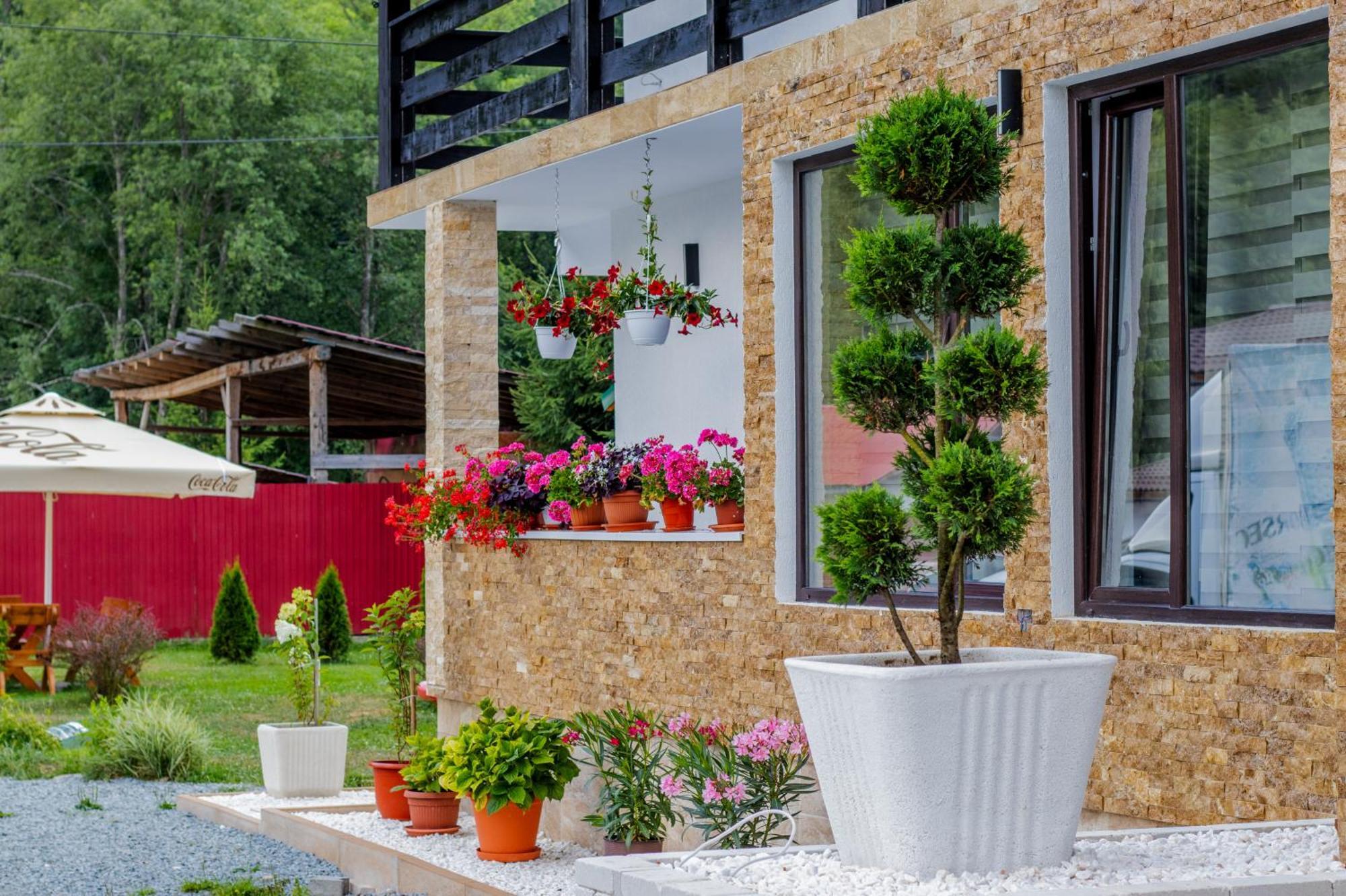 Ge-Lux Villa Jencsest Kültér fotó
