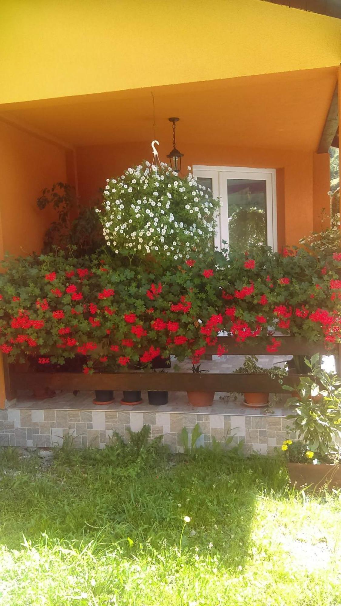 Ge-Lux Villa Jencsest Kültér fotó