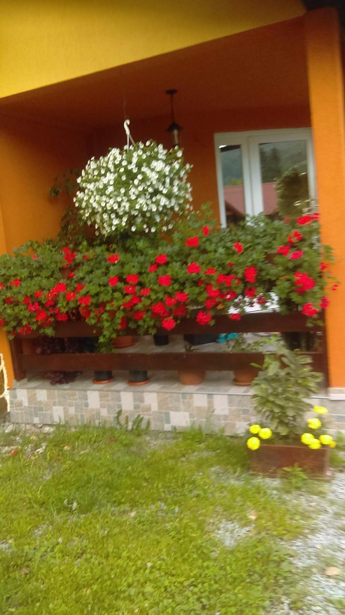 Ge-Lux Villa Jencsest Kültér fotó