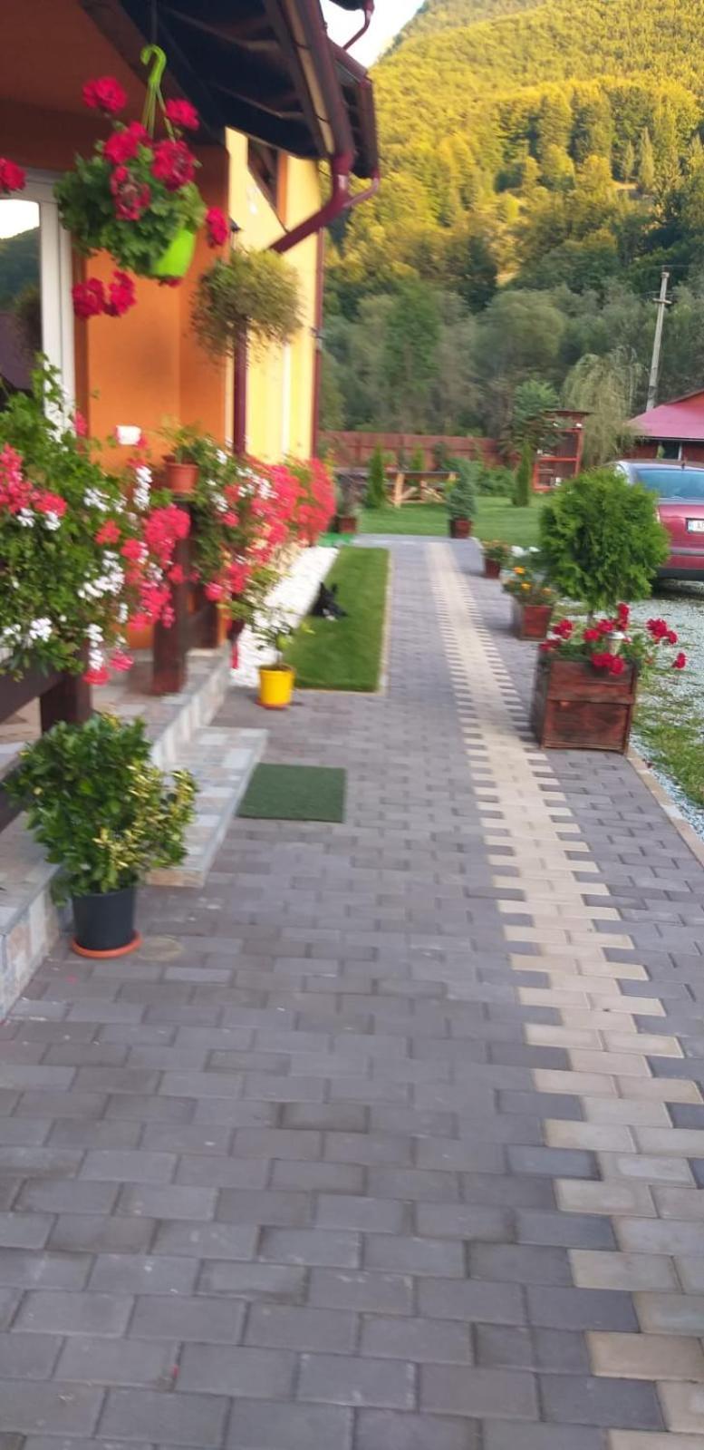 Ge-Lux Villa Jencsest Kültér fotó